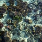 Coastal Communities Explore New Approaches to Protect Marine Ecosystems